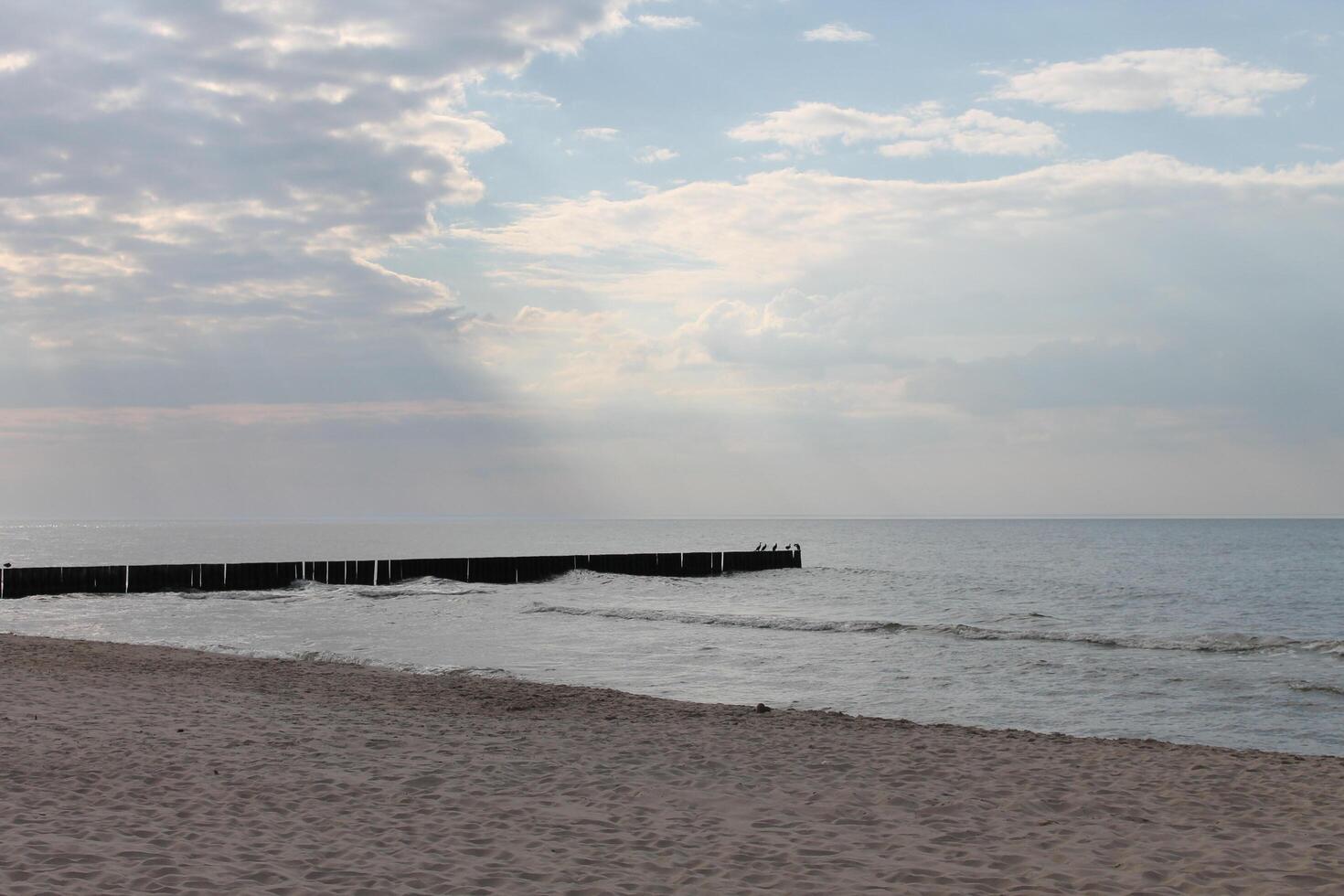 spring beach photo