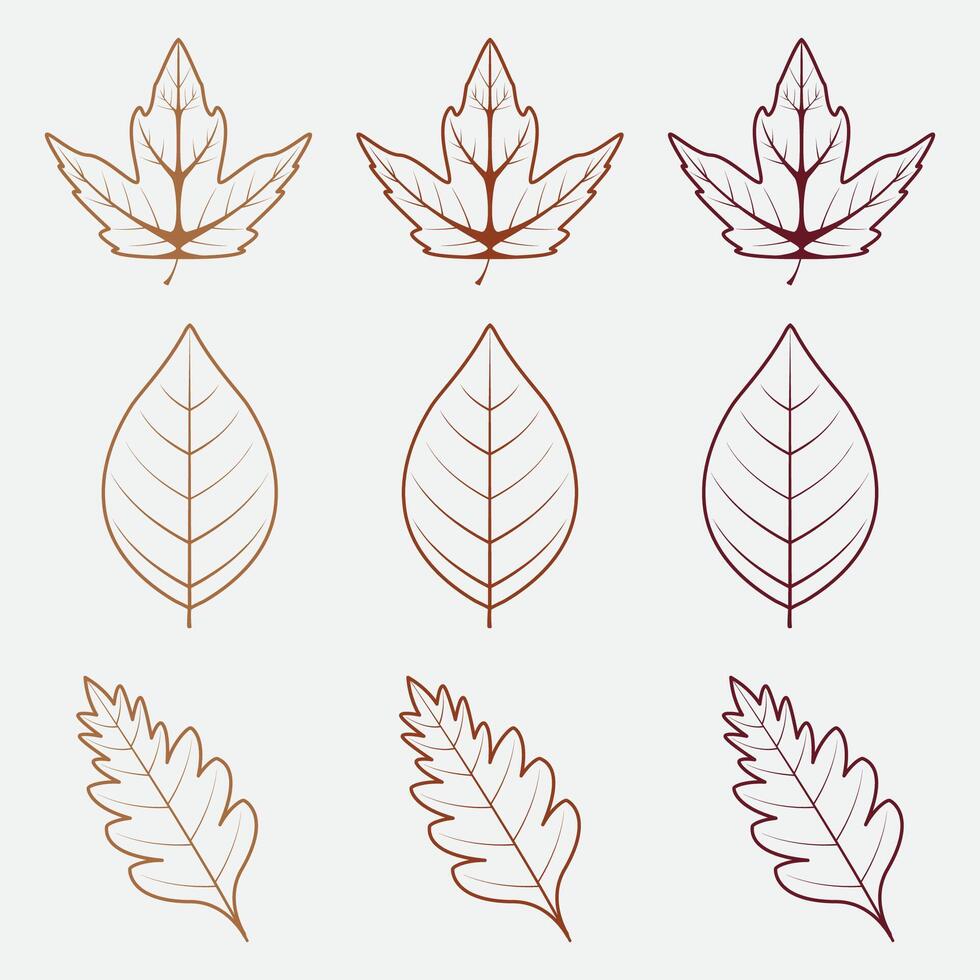 Fall leaves. Autumn leaves with outline. Seamless patterns for textiles, wallpaper, gift wrapping and scrapbooking. vector