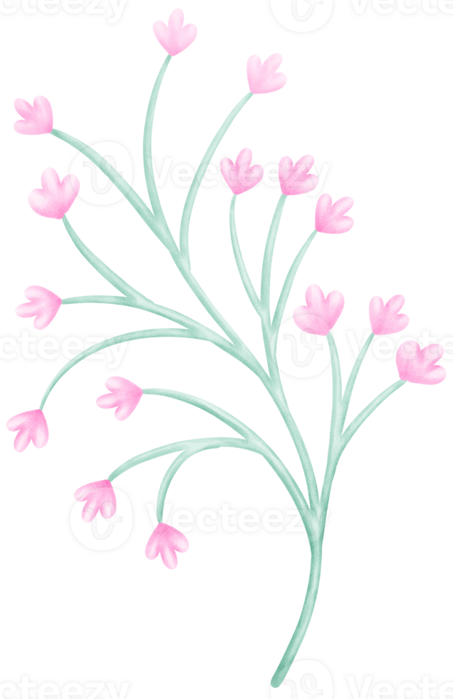 Hand-Drawn Blooming Flower - Spring Flower Illustration png