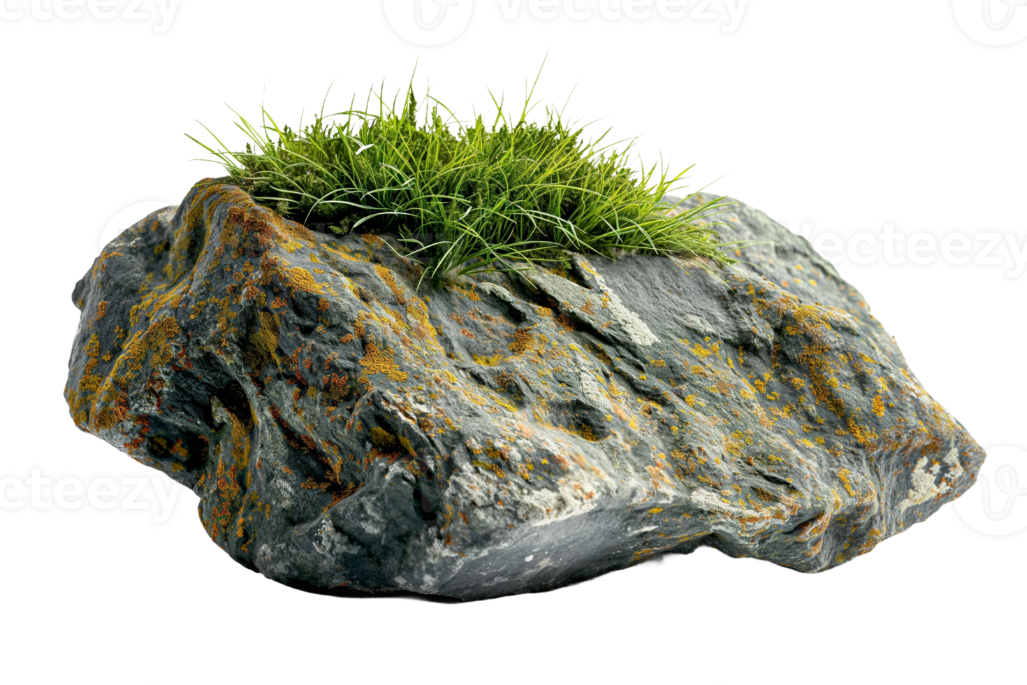 Lichen Covered Rock with Grass png