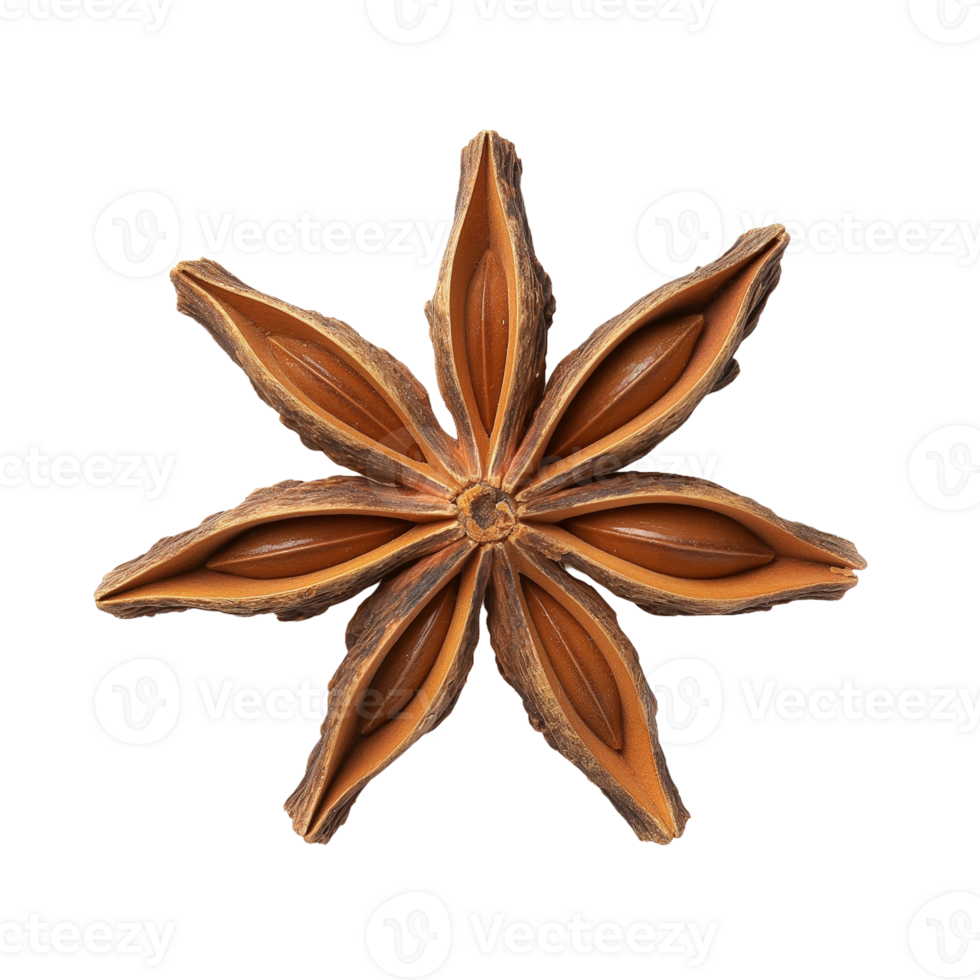 Star Anise - Close Up png