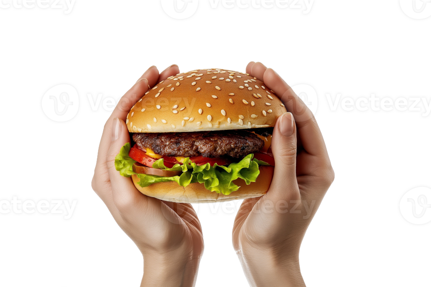 A Delicious Hamburger in Hands png