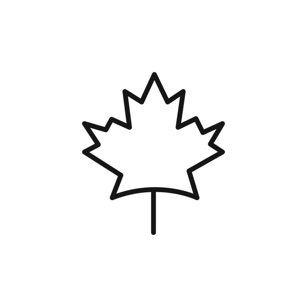 Maple leaf logo sign outline vector