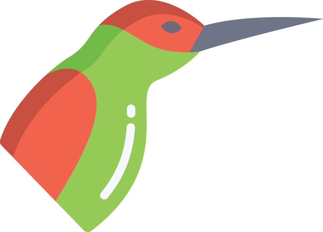 humming bird illustration design vector