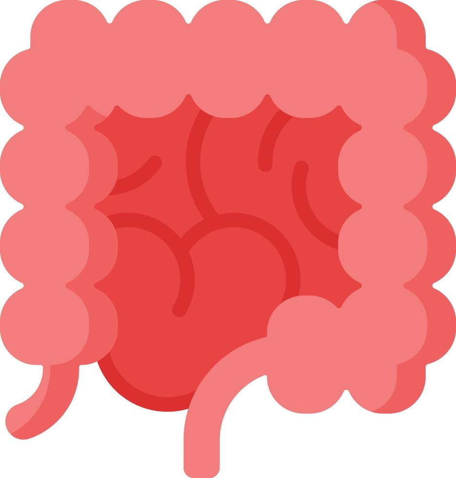 large intestine illustration design vector