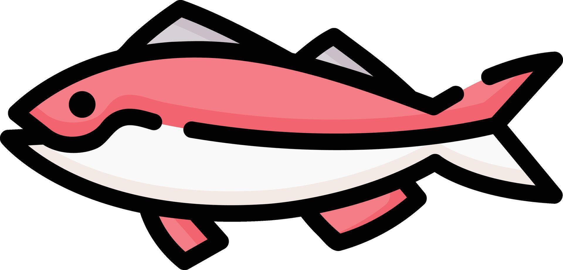 jewfish illustration design vector