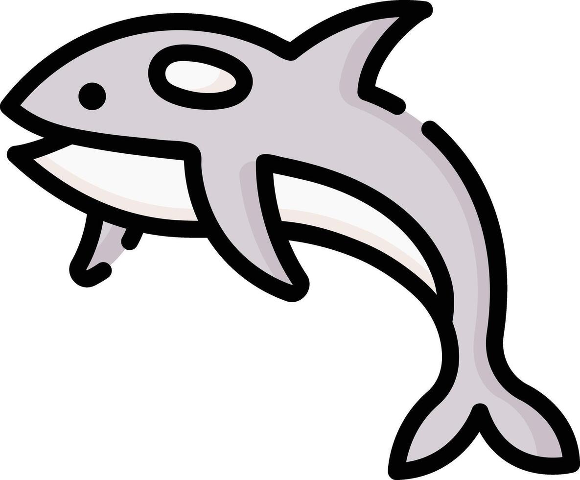 orca illustration design vector