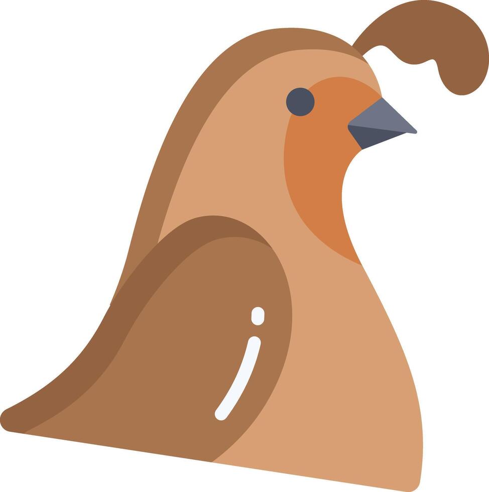 quail illustration design vector