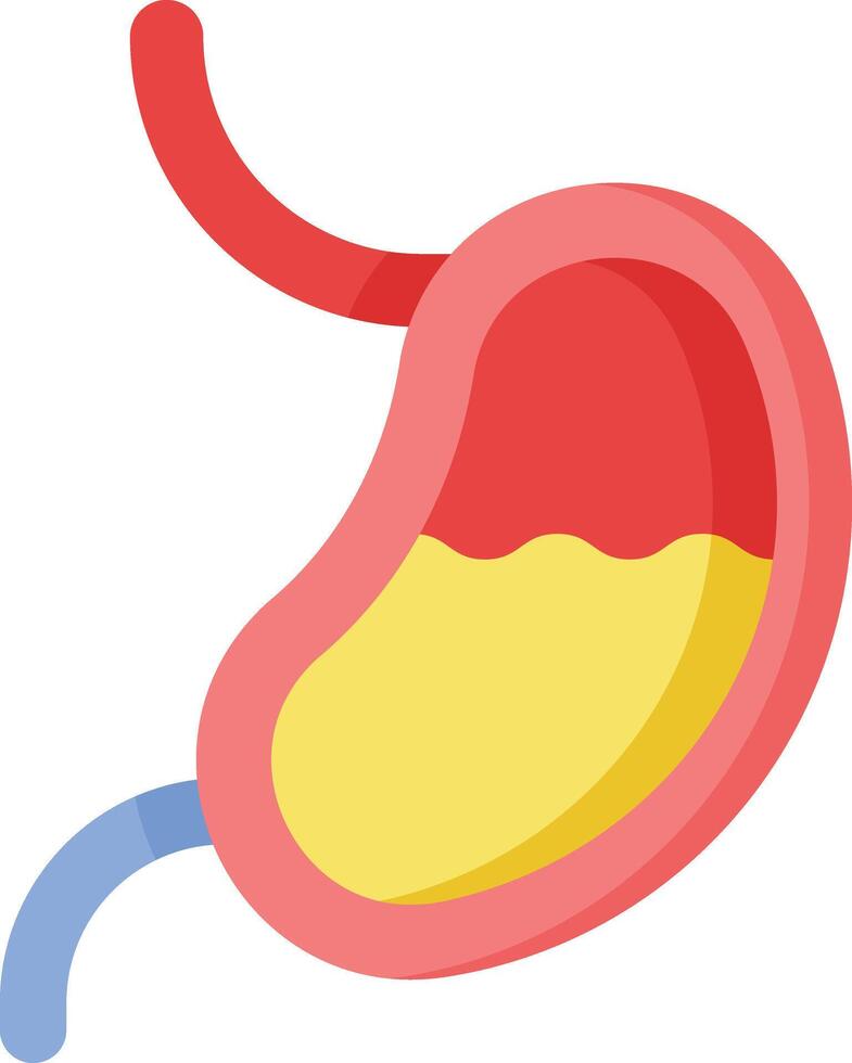 stomach illustration design vector