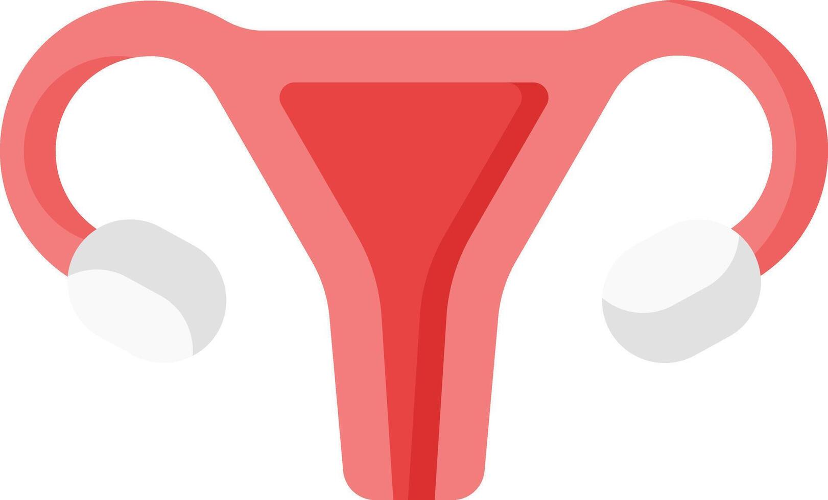 uterus illustration design vector