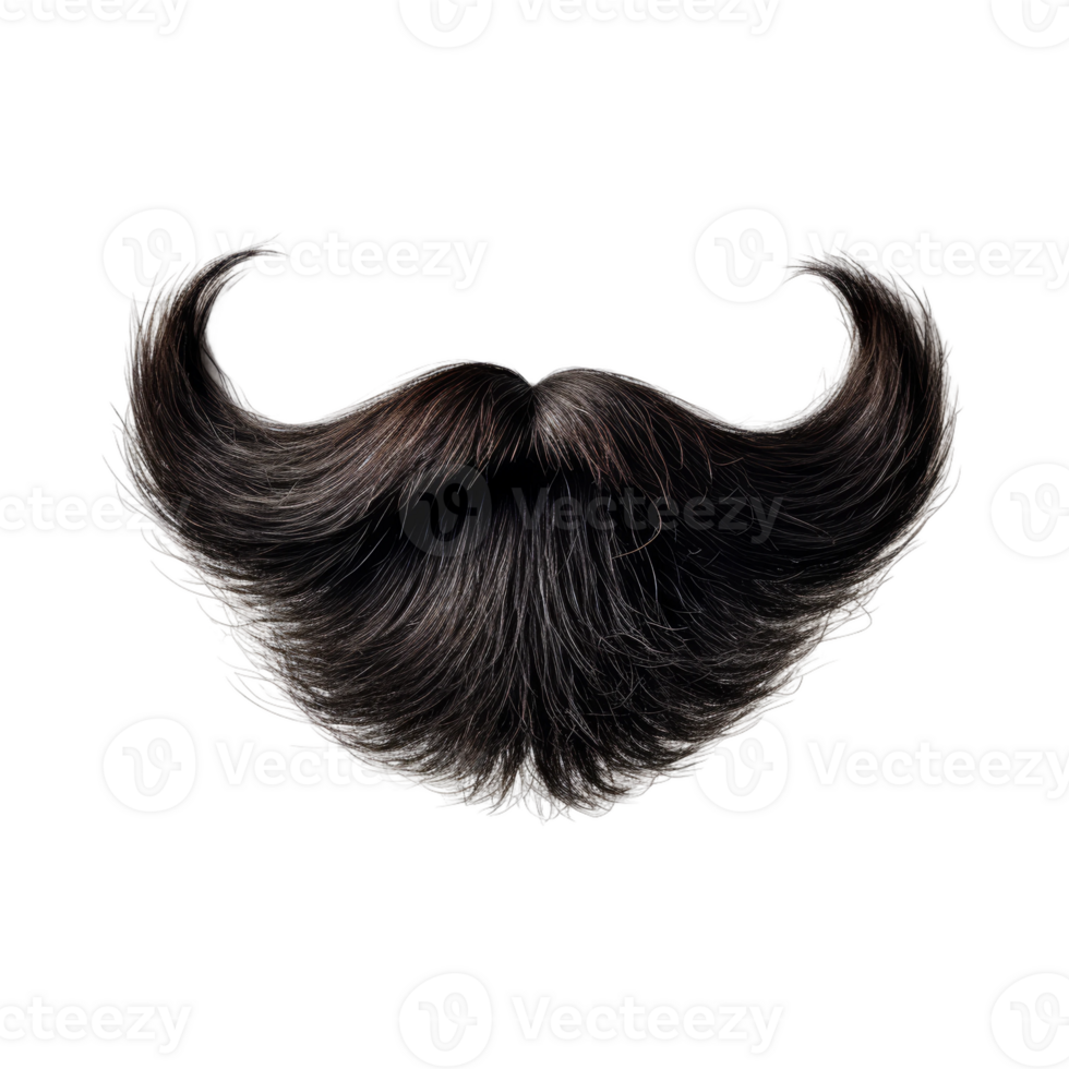 Full, Dark, and Handsome A Close-up of a Detailed, Graying Beard png