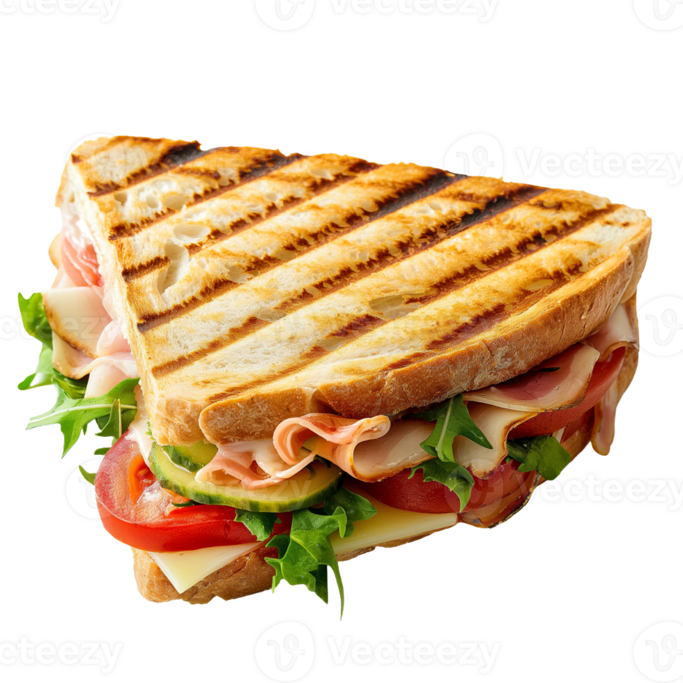 Grilled Ham and Cheese Sandwich png