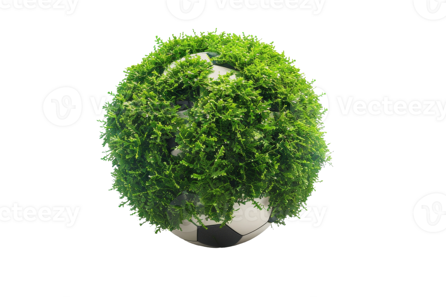Soccer Ball Covered in Grass on Transparent Background png