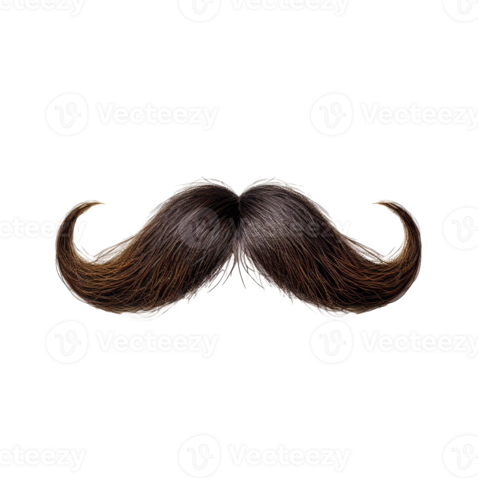 A Close-up of a Large Brown Mustache png