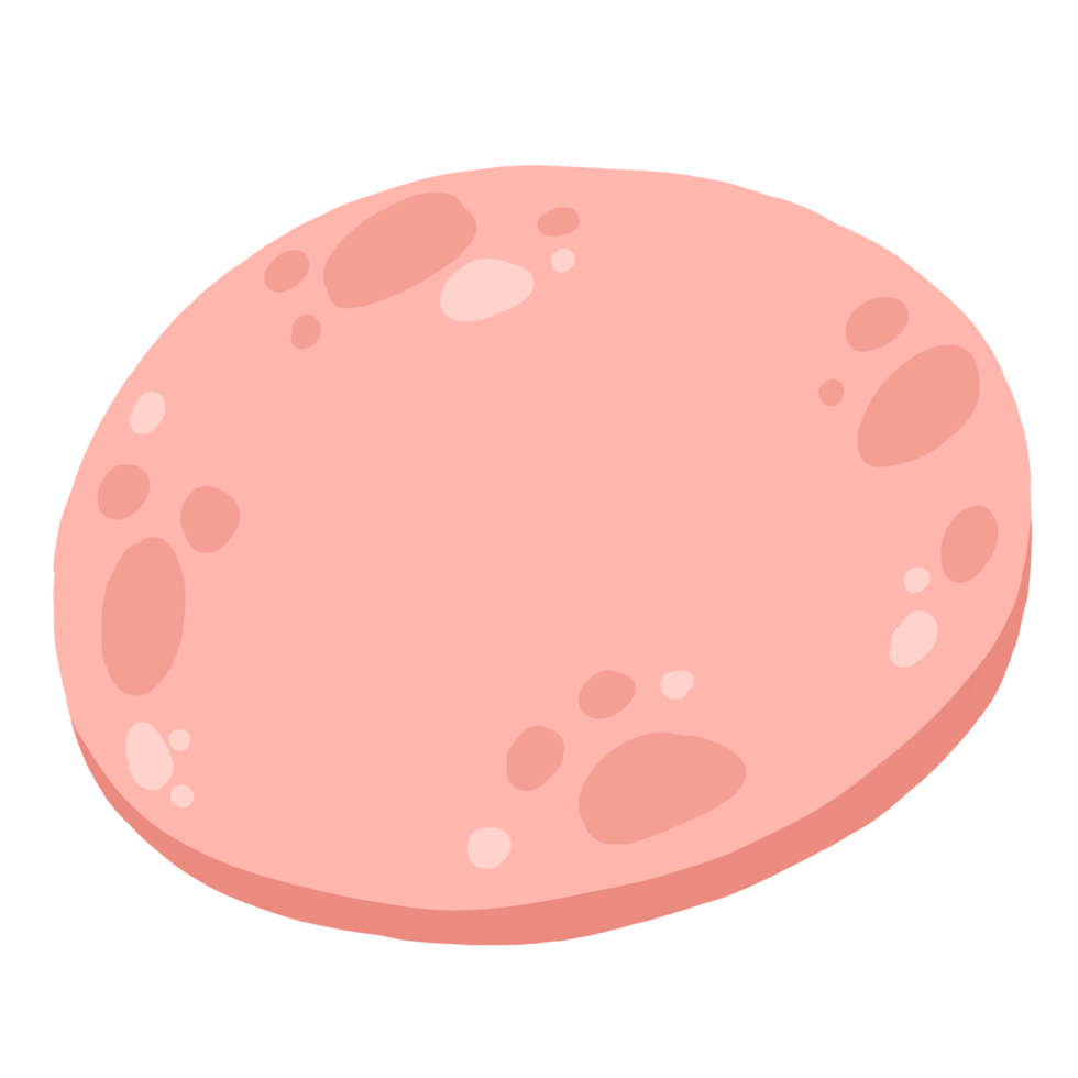 Bologna Sausage cartoon png