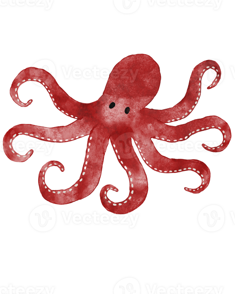 Vibrant Red Octopus Illustration Whimsical and Playful Sea Creature Art png