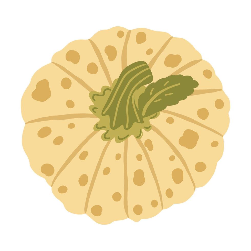 Single element of colorful orange autumn pumpkin Symbol of Halloween and Thanksgiving day. illustration on white background in doodle style. vector