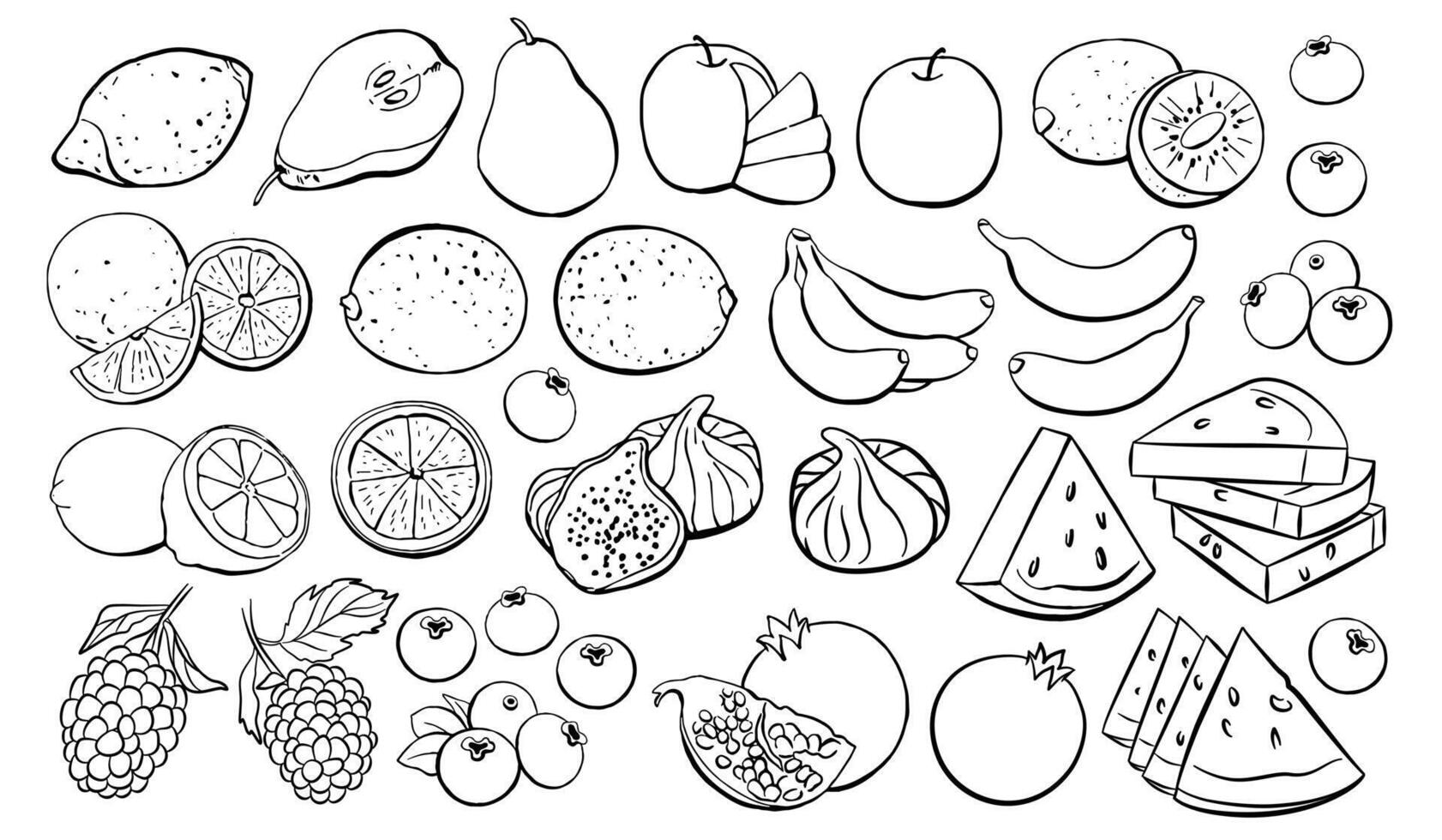 Fruit outline icon set isolated on white background. Vegetarian food illustration for the menu of fish restaurants, markets and shops, textile patterns, websites. vector