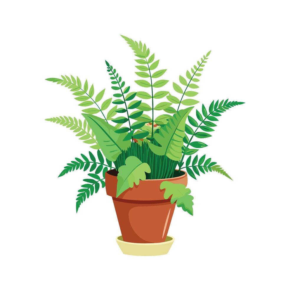 Flowerpot Houseplant Illustration vector