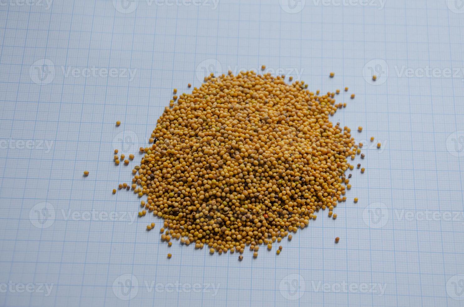 mustard seed yellow on graph paper for size understanding. High quality photo