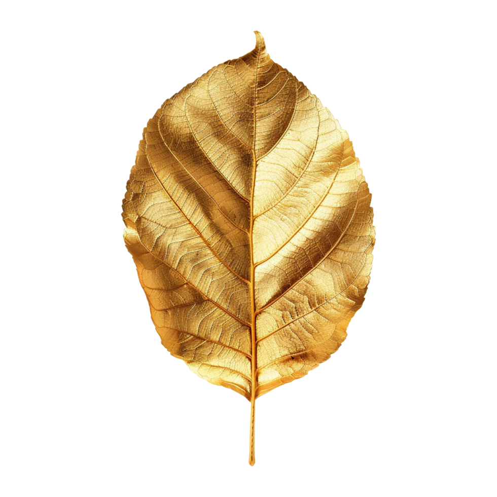 Golden leaf isolated on a transparent background png