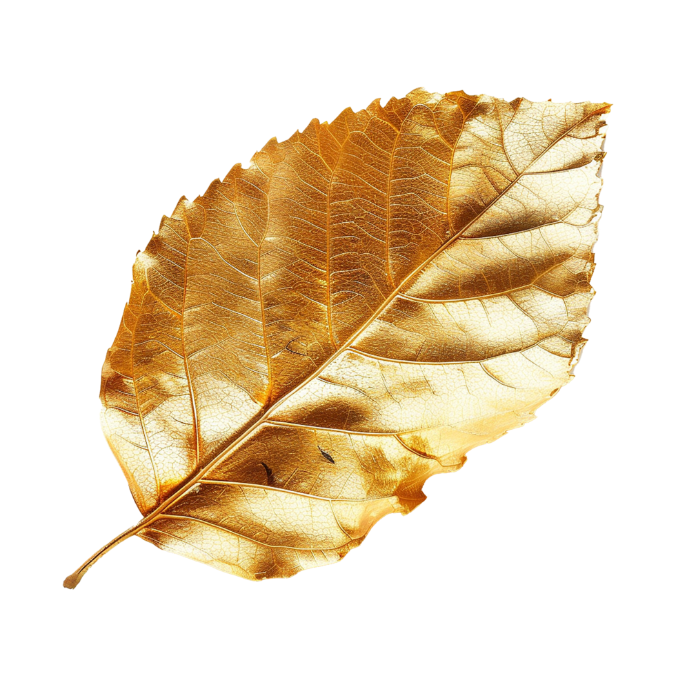 Golden leaf isolated on a transparent background png