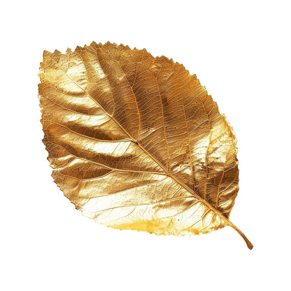 Golden leaf isolated on a transparent background png