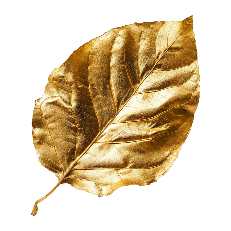Golden leaf isolated on a transparent background png