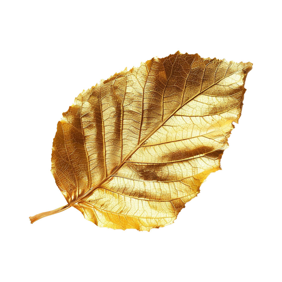 Golden leaf isolated on a transparent background png