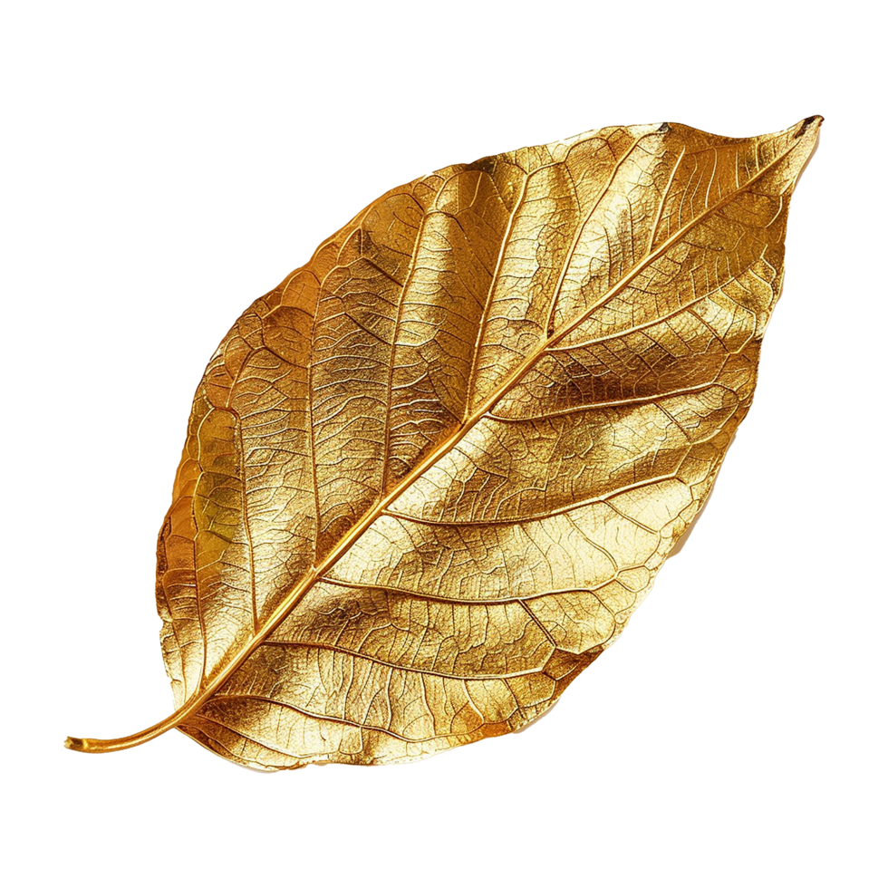 Golden leaf isolated on a transparent background png