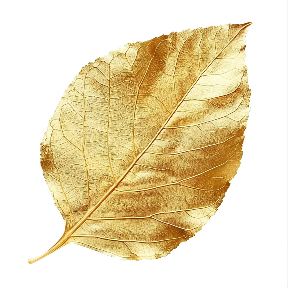 Golden leaf isolated on a transparent background png