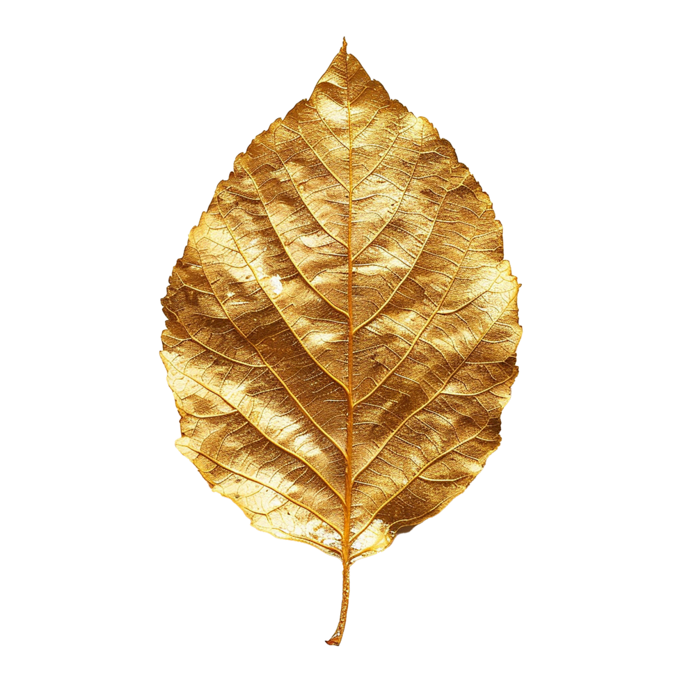 Golden leaf isolated on a transparent background png