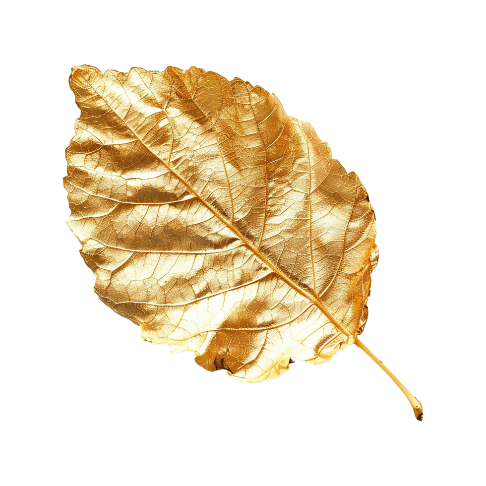 Golden leaf isolated on a transparent background png