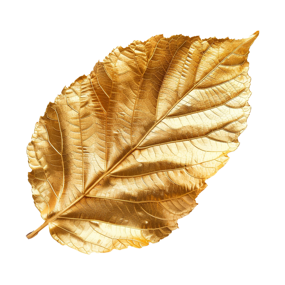 Golden leaf isolated on a transparent background png