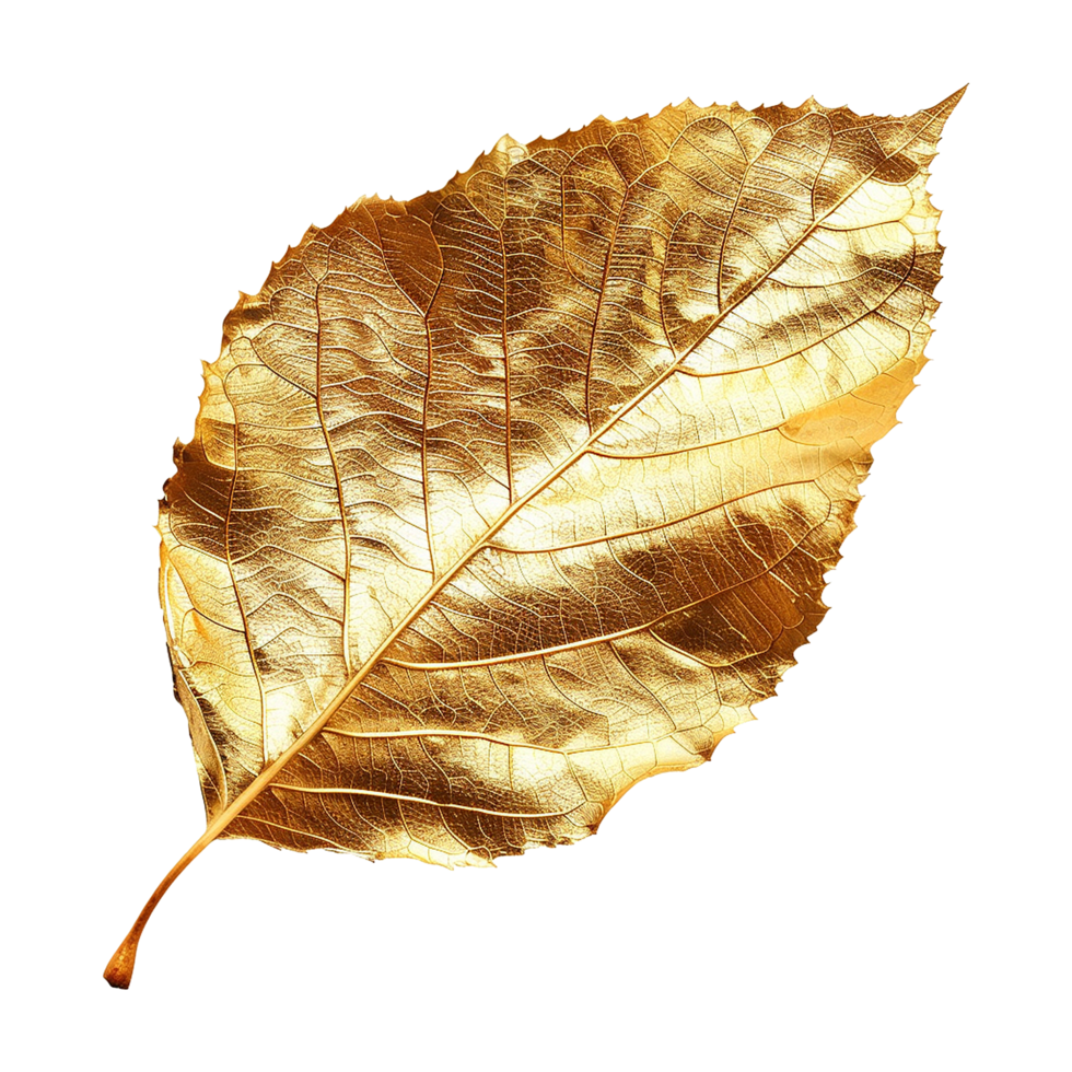Golden leaf isolated on a transparent background png