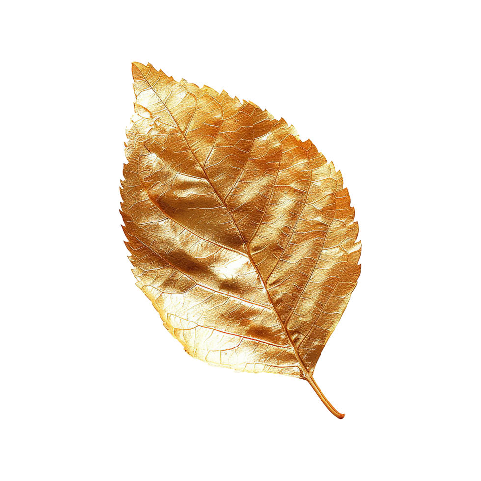Golden leaf isolated on a transparent background png