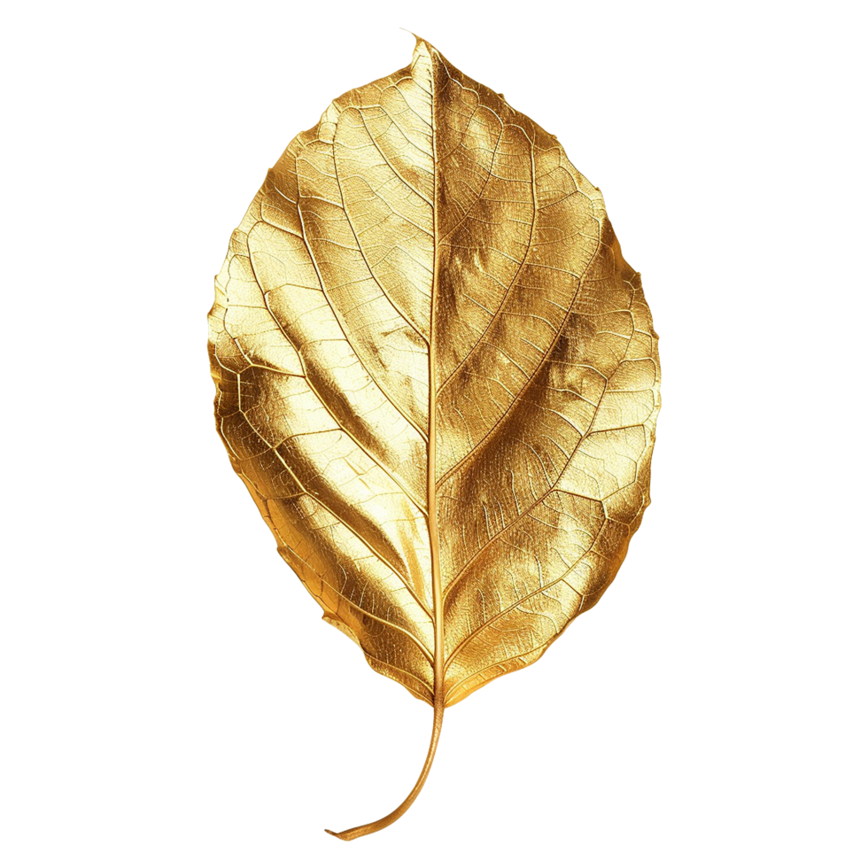 Golden leaf isolated on a transparent background png