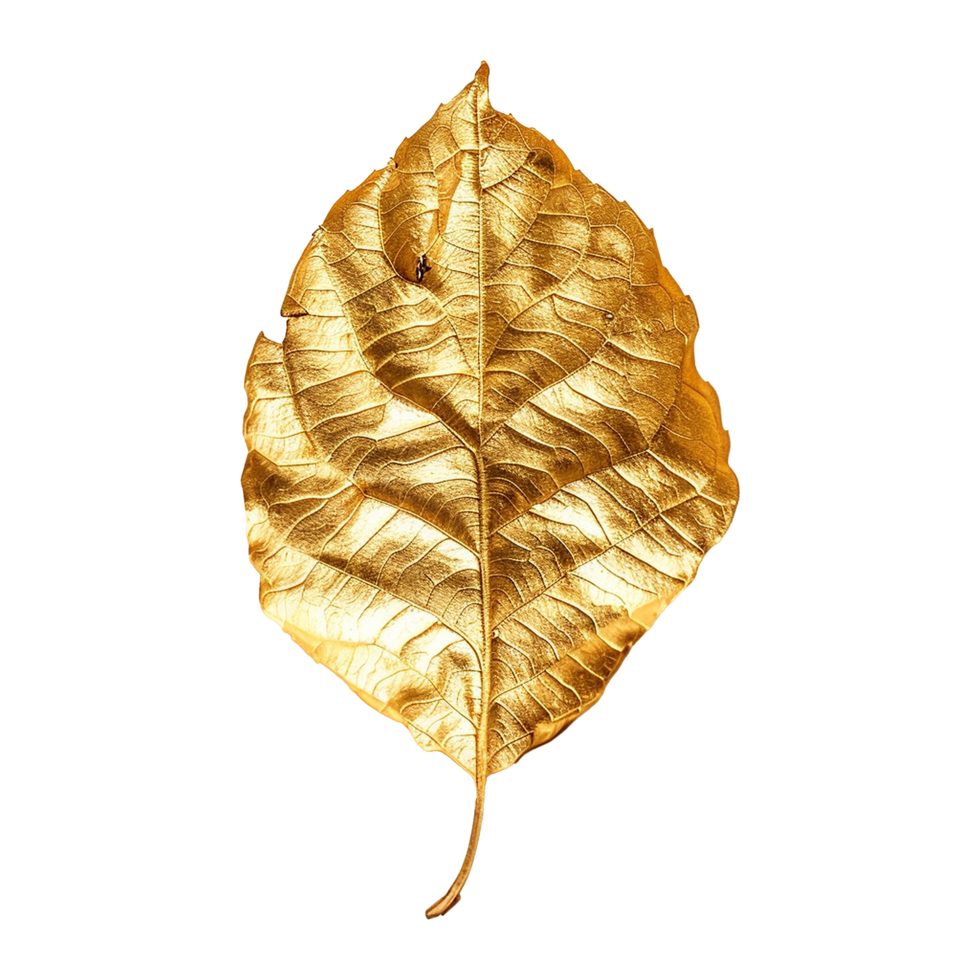 Golden leaf isolated on a transparent background png