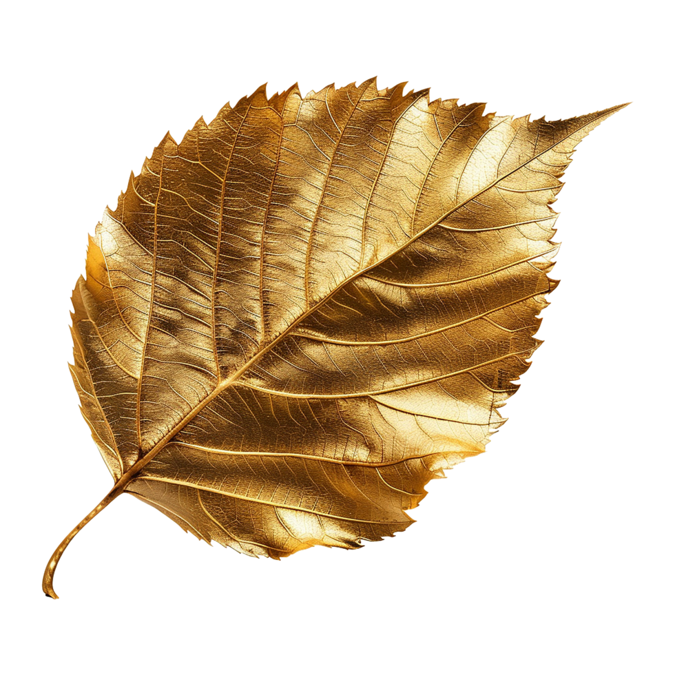 Golden leaf isolated on a transparent background png