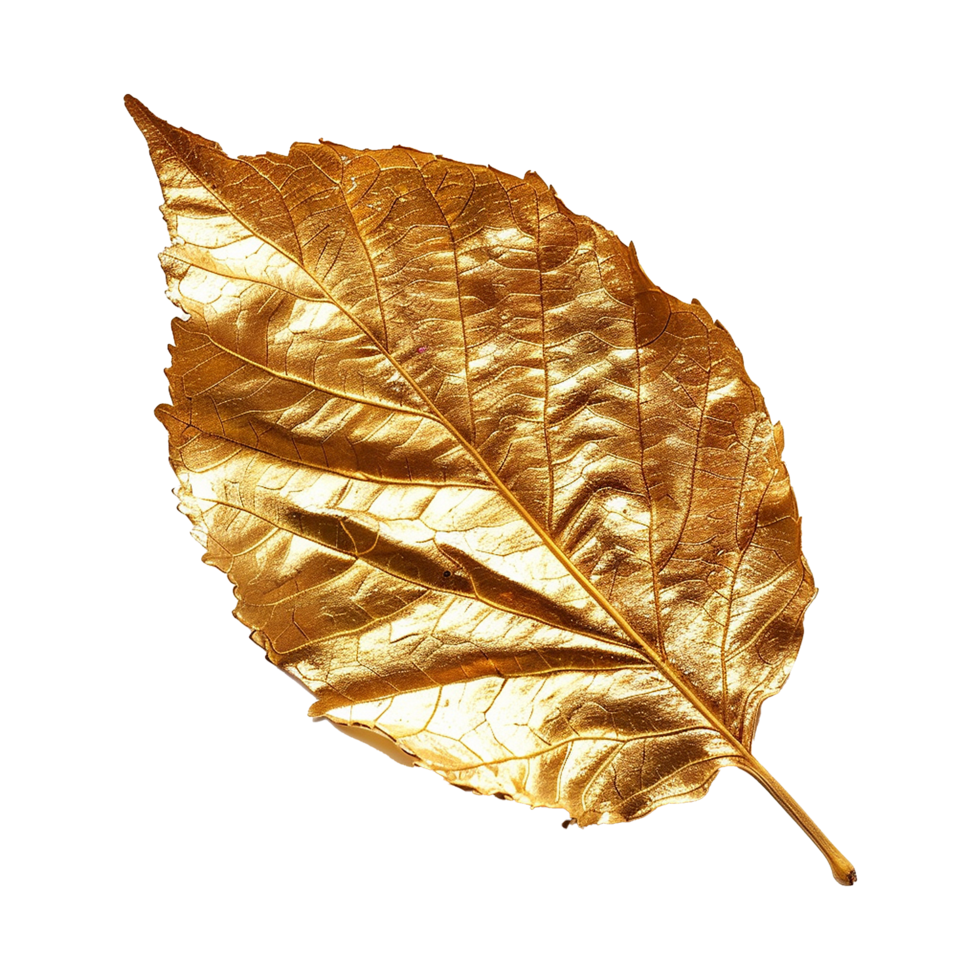 Golden leaf isolated on a transparent background png