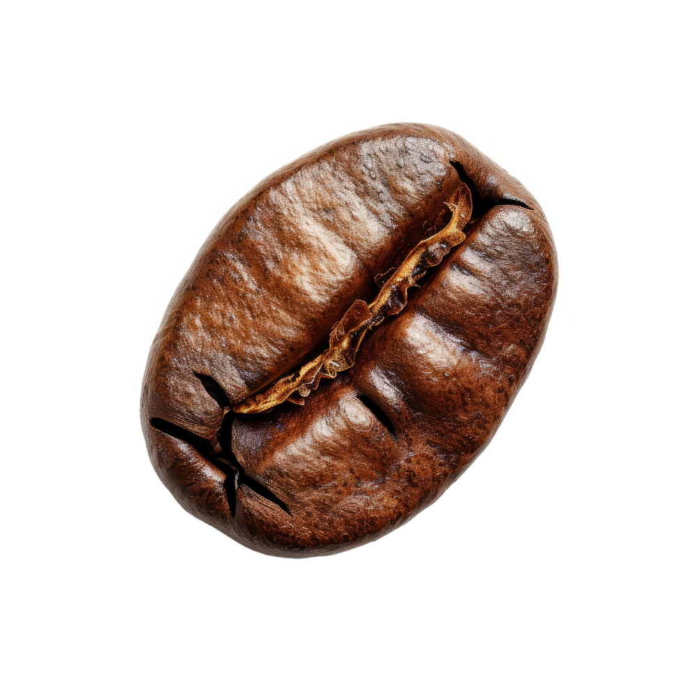 Coffee bean isolated on transparent background With clipping path.3d render png