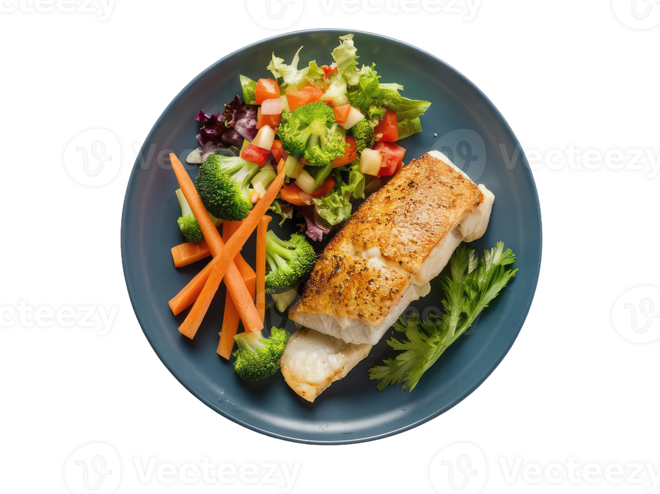 Baked Fish with Vegetables png