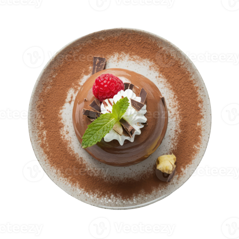 Chocolate Pudding with Whipped Cream and Raspberry png