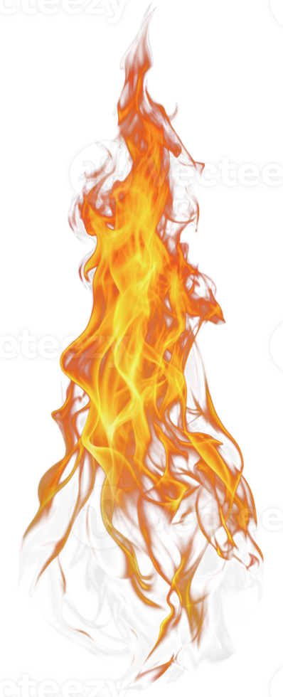 Orange and yellow flame burning upwards, cut out - stock png. png