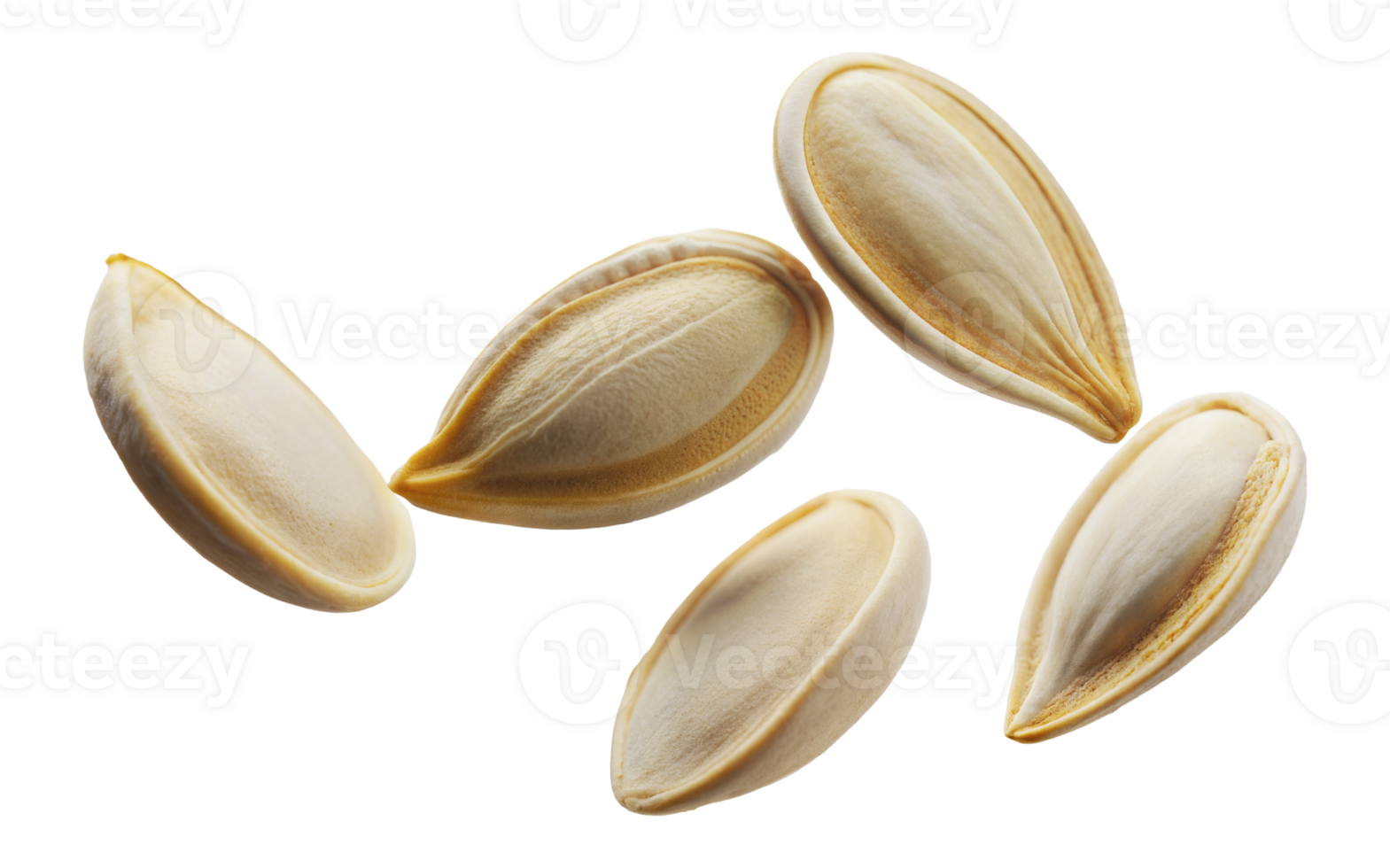 Five raw, shelled pumpkin seeds floating, cut out - stock png. png