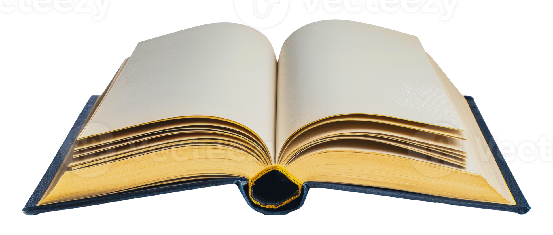 Open book with blank pages and gold gilded edges, cut out - stock png. png