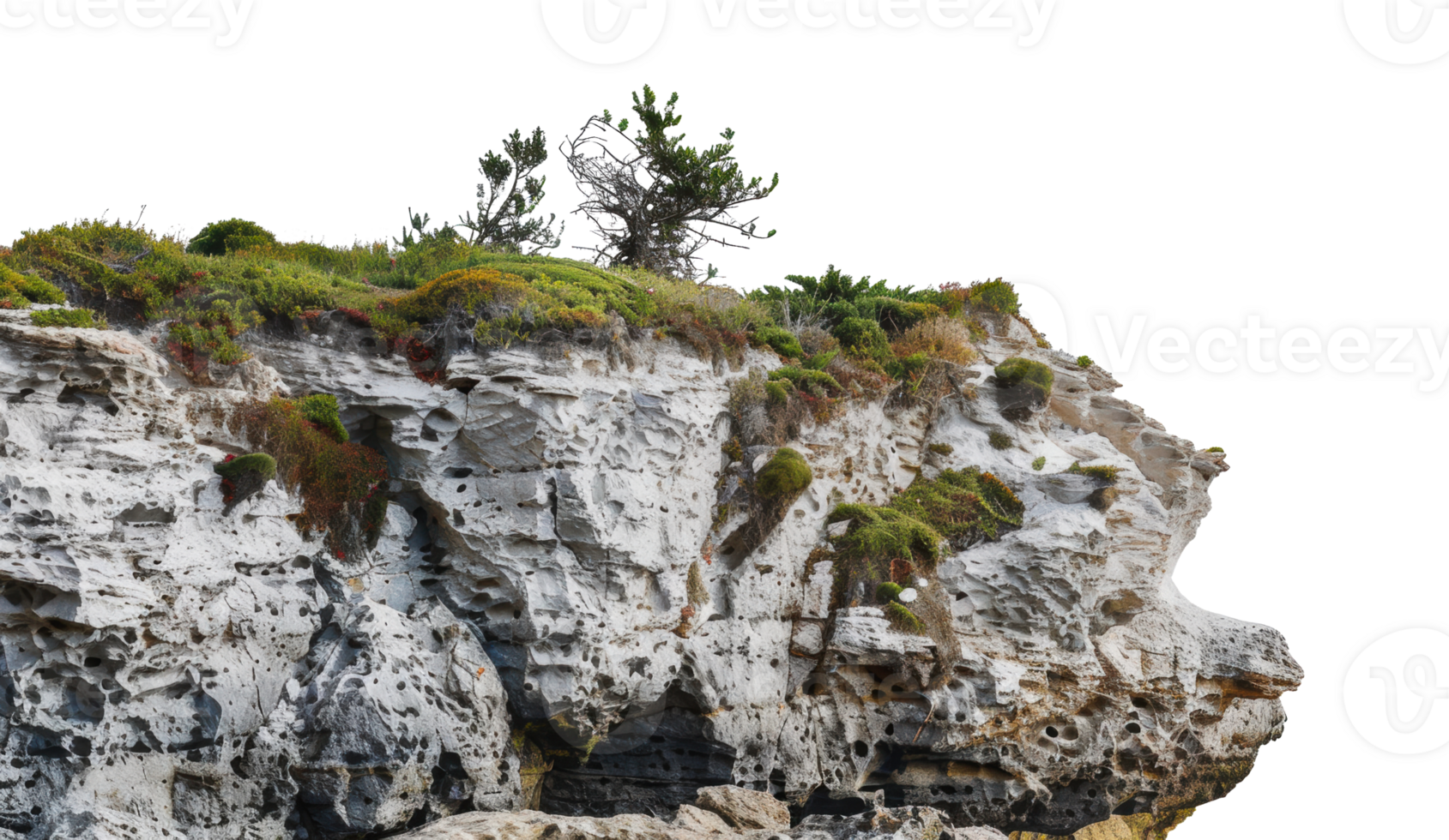 Coastal cliffside with lush green vegetation and small trees, cut out - stock png. png