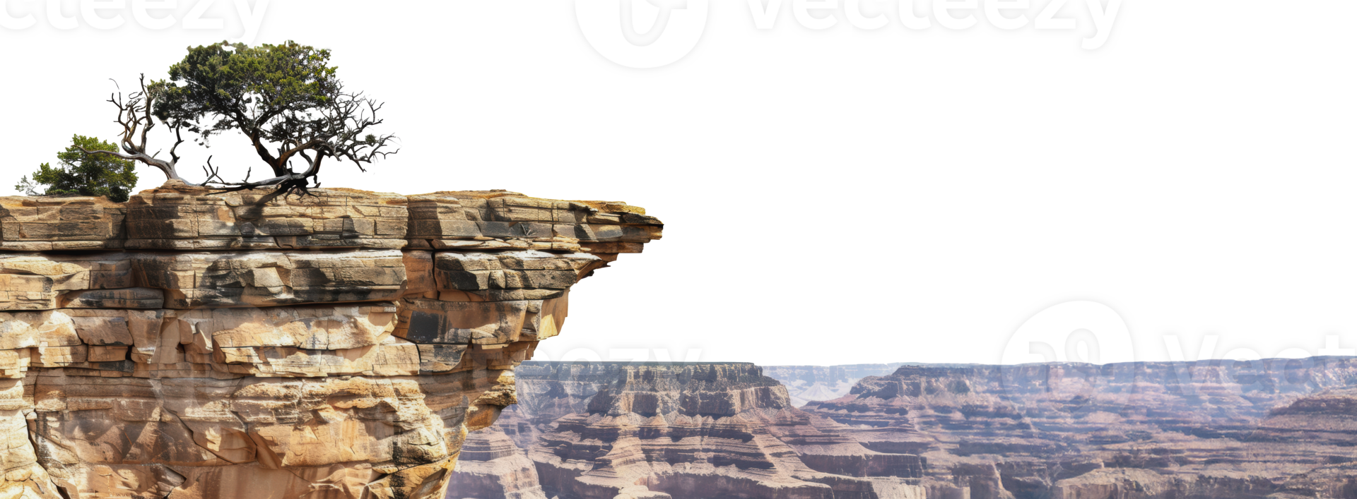 A single tree growing on the edge of a canyon cliff, cut out - stock png. png