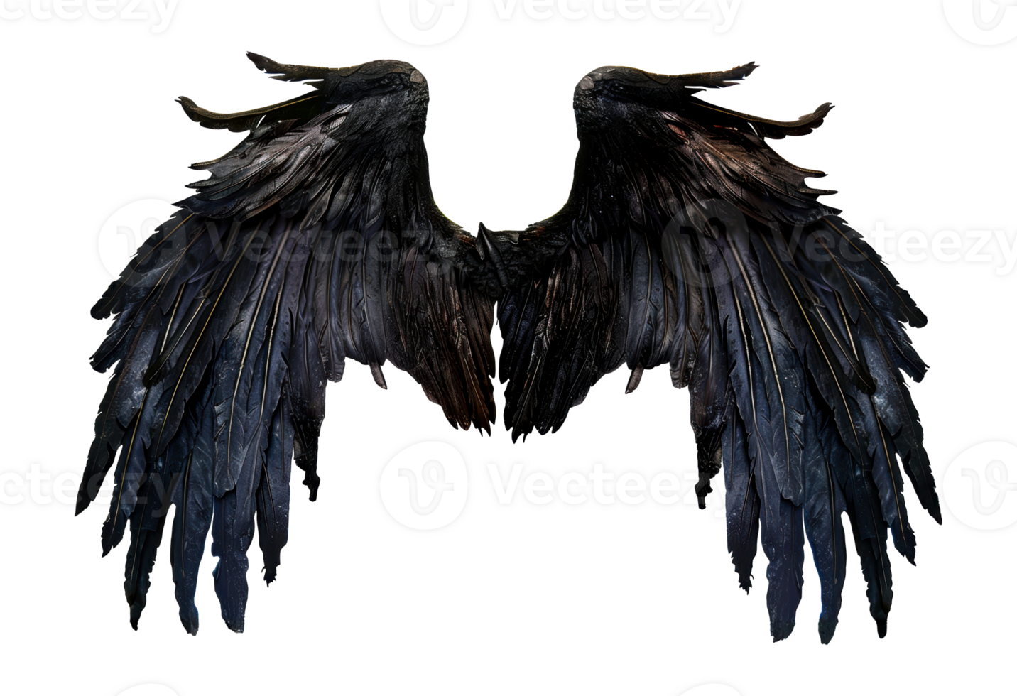 Pair of black feathered wings, cut out - stock png. png