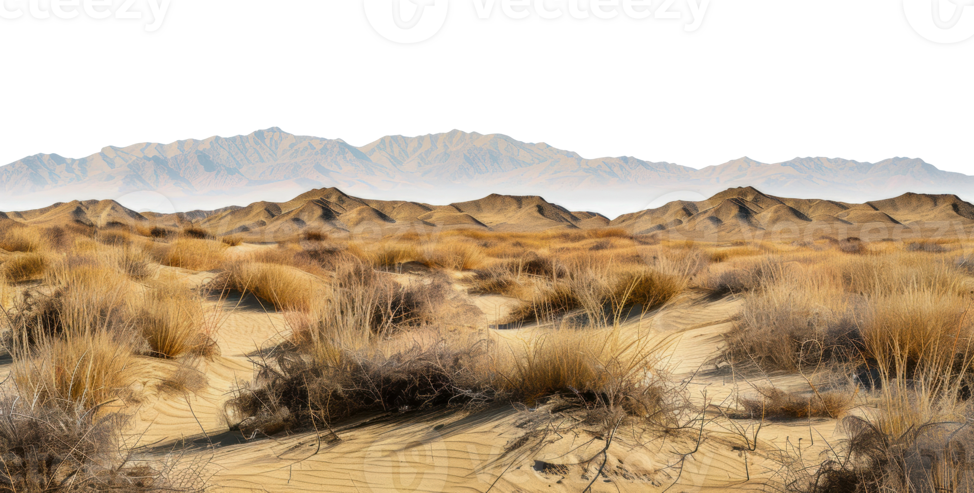 Desierto paisaje con montañas en el distancia durante el día, cortar fuera - valores png. png